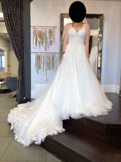 Wedding Dress is Here!! - 1