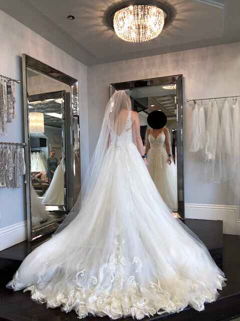 Wedding Dress is Here!! - 2