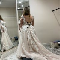 Wedding Gown Opinions!! - 3
