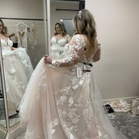 Wedding Gown Opinions!! - 4