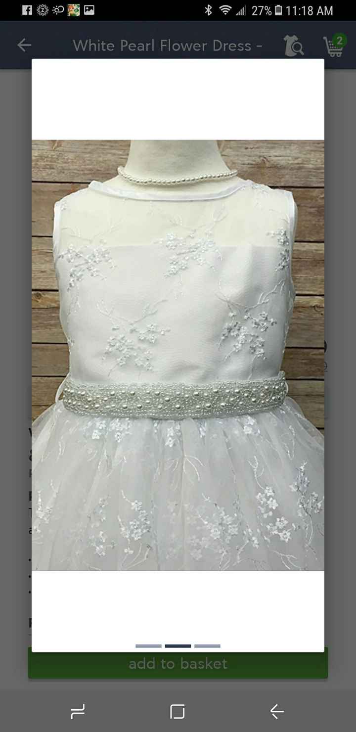 Flowers dresses on a snowy day - 2