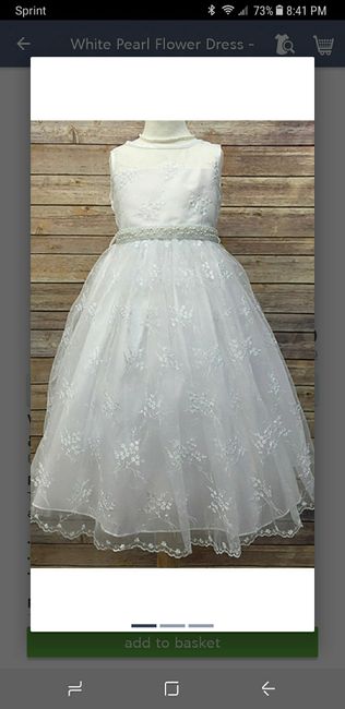 Flowers dresses on a snowy day - 1