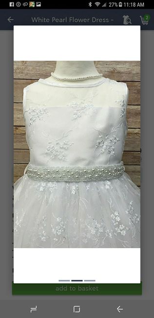 Flowers dresses on a snowy day - 2