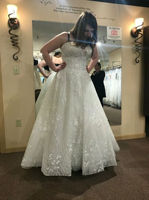 Flowers dresses on a snowy day - 3