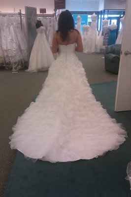 What do you think of my wedding dress.