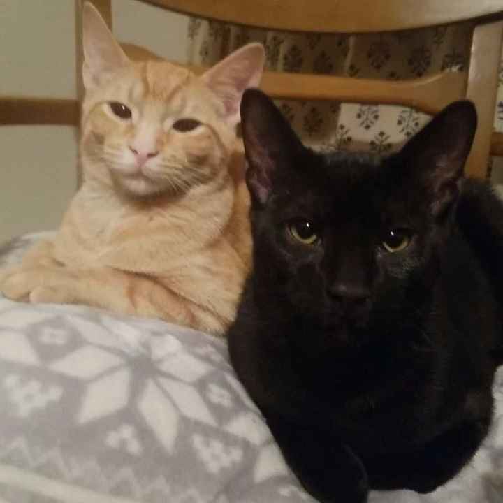 The line of 1000+ people