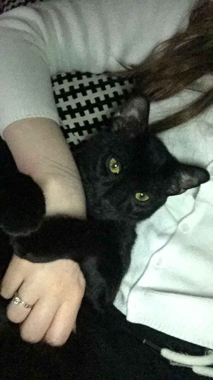 Today is National Pet Day! Let's see those fur babies :)