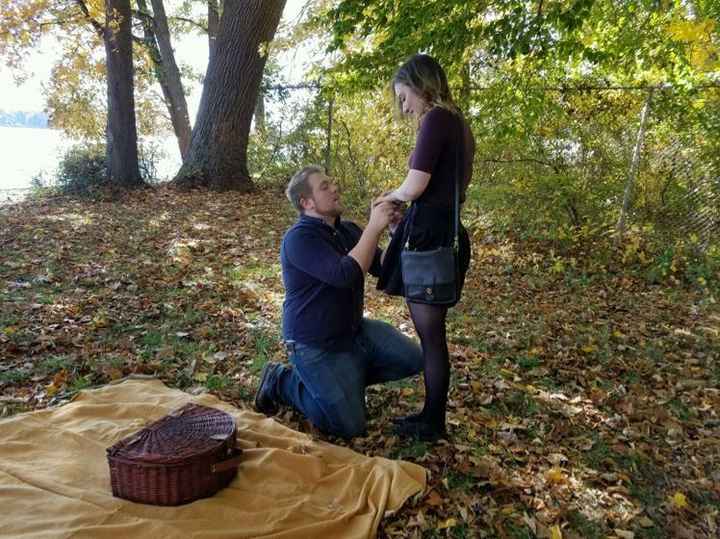 Post a photo of your fiance proposing!
