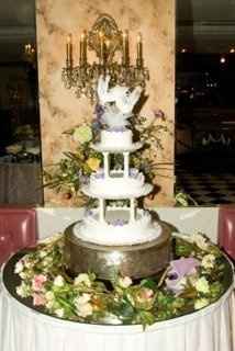 Professional Pictures