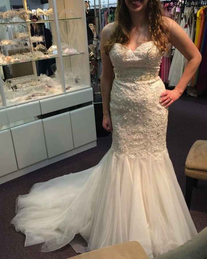 My dress is in! *pics*
