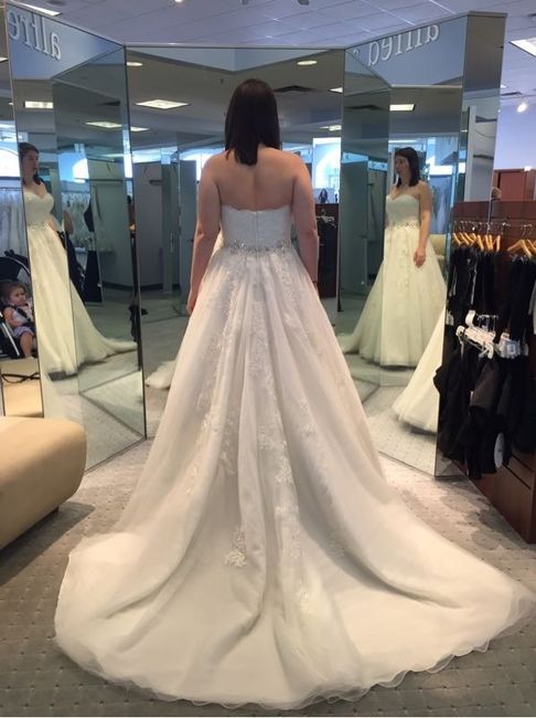 MY DRESS CAME IN!