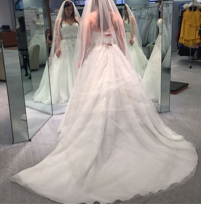 Let's talk about veils...