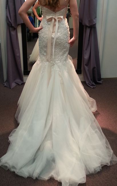 My dress is in! *pics*