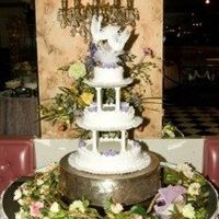 Professional Pictures