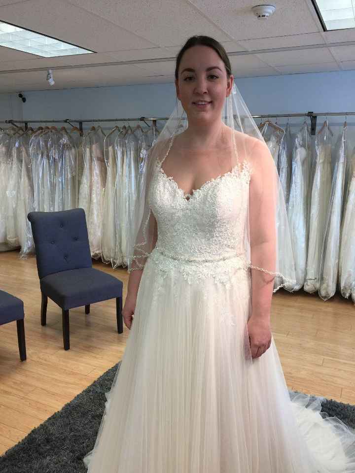 My dress from the front, with my belt and one fingertip-length veil I tried
