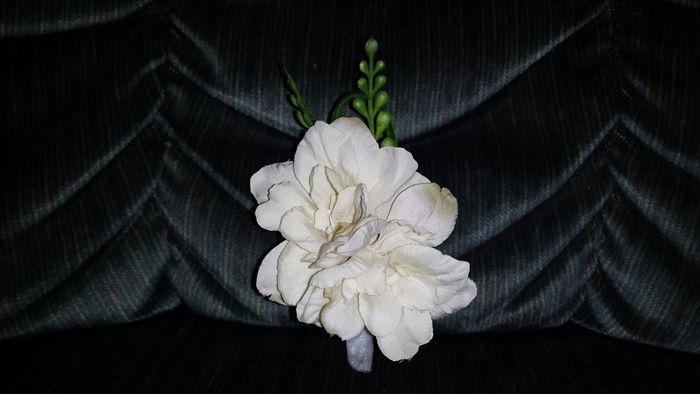 Flowers - Real vs Fake