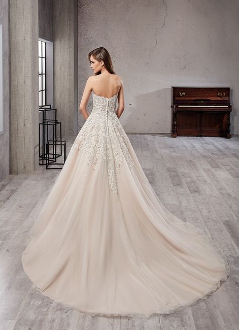 Veil help please ladies 1