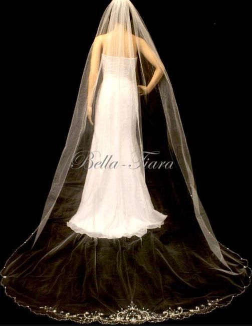 Veil help please ladies 6