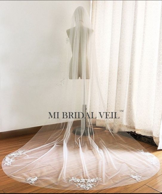 Veil help please ladies 8