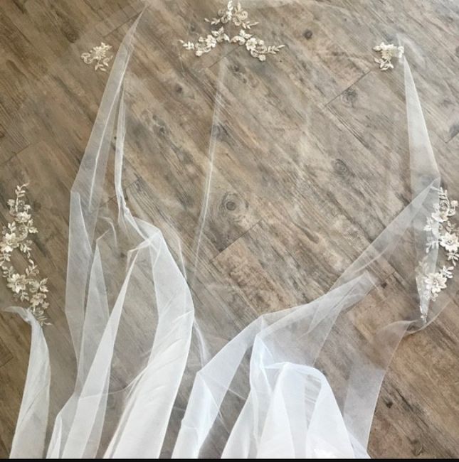 Veil help please ladies 9