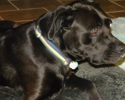 need help settling a looooong argument (NWR)