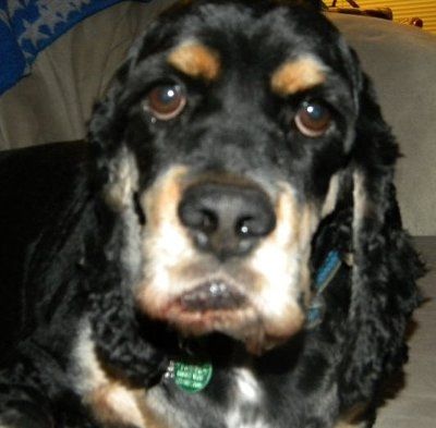 need help settling a looooong argument (NWR)