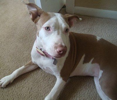 need help settling a looooong argument (NWR)