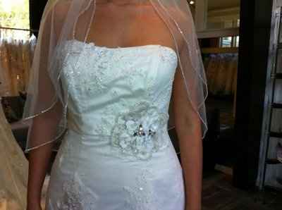 I found my dress!! (pics)