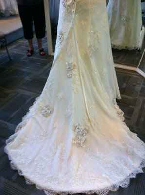 I found my dress!! (pics)