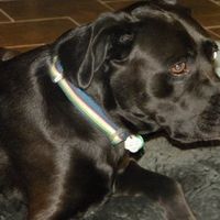 need help settling a looooong argument (NWR)