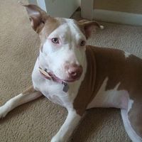 need help settling a looooong argument (NWR)