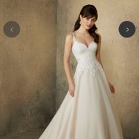 Dress Help! Please post your gowns!! - 1