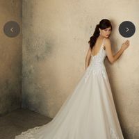 Dress Help! Please post your gowns!! - 2