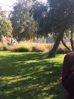 Show me your venues!