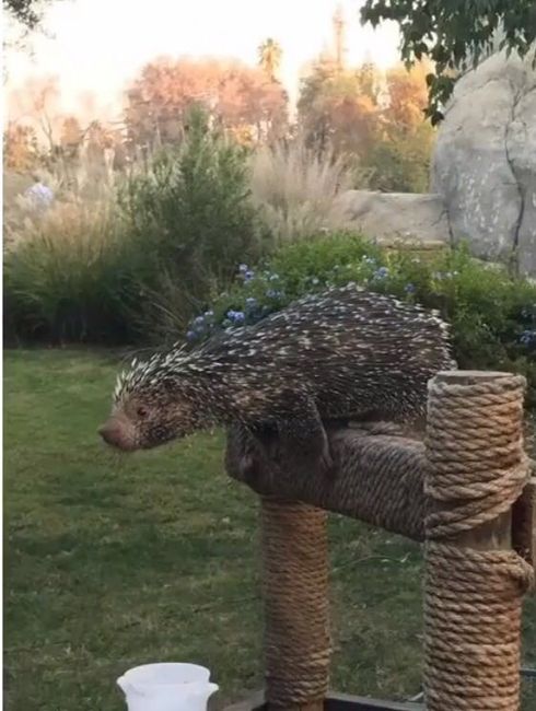 BAM! Updated: Some Pro