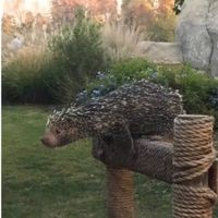 BAM! Updated: Some Pro