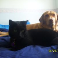 Just for fun, lets see your crazy pet child....