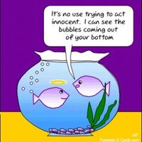 Passing gas in front of SO