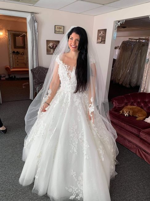 Wedding dress doubt - 1