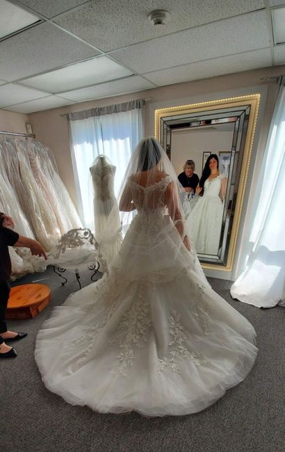 Wedding dress doubt - 2