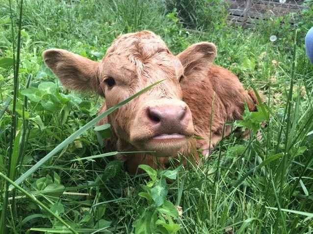 NWR feeling down: send happy pictures