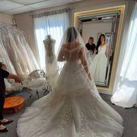 Wedding dress doubt - 2