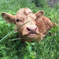 NWR feeling down: send happy pictures