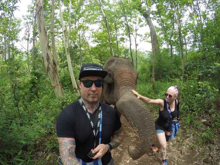 Walking with elephants 