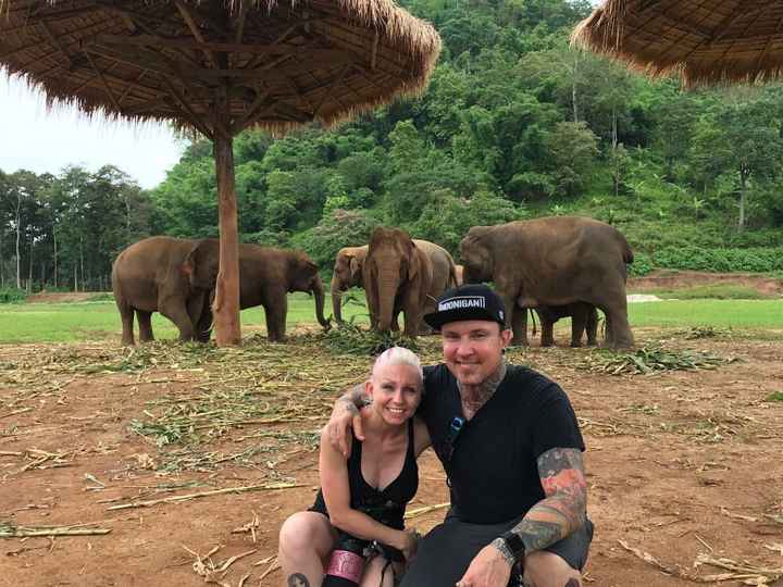Just hanging out.... with elephants!