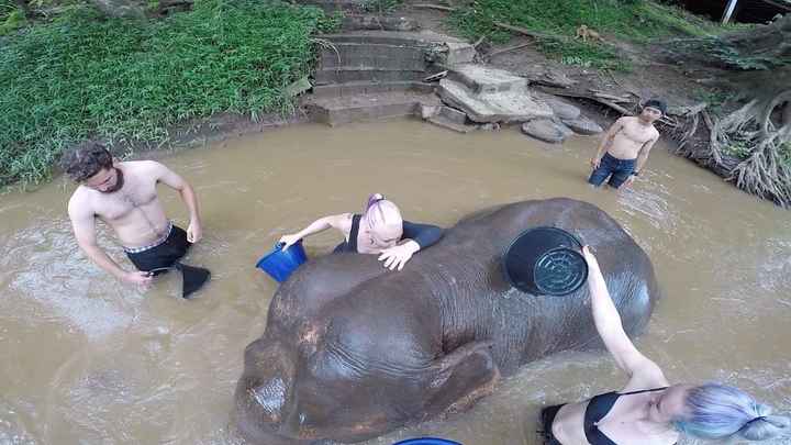 Hugging elephants!!!