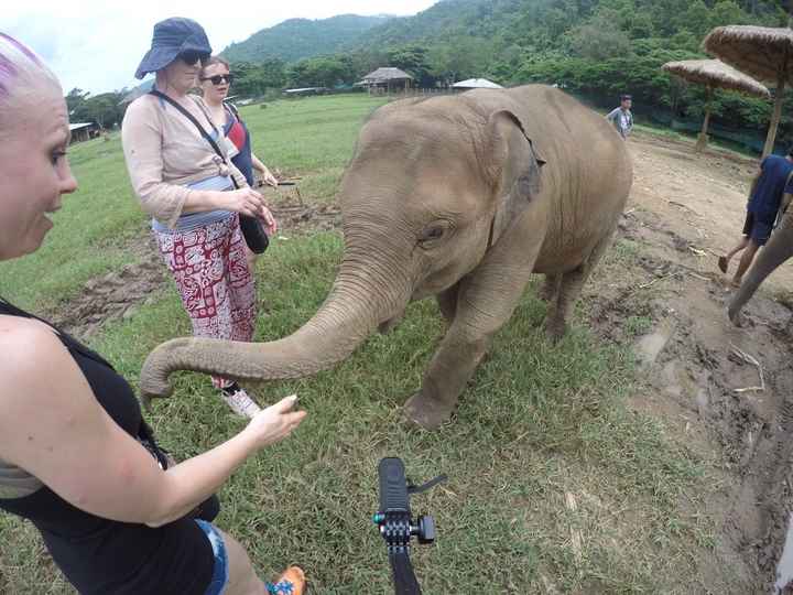 Me almost in tears because this sweet little baby elephant wanted to play with me