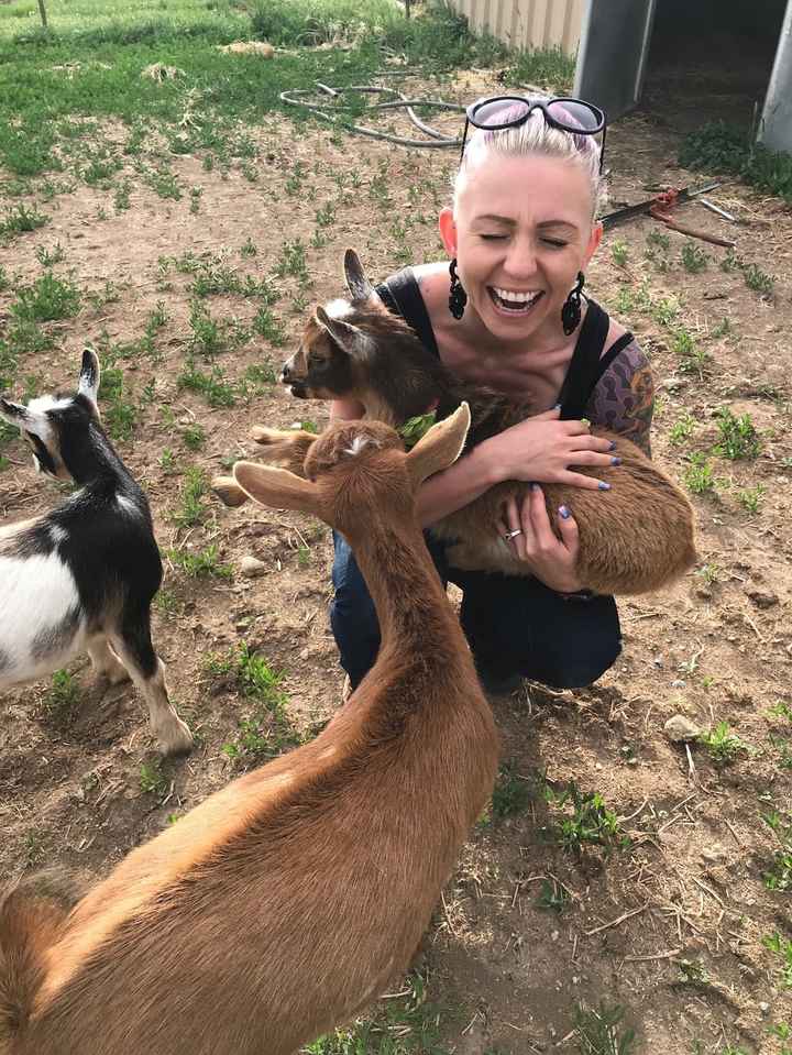 My new baby goats Latte, Macchiato, and Jezebel  