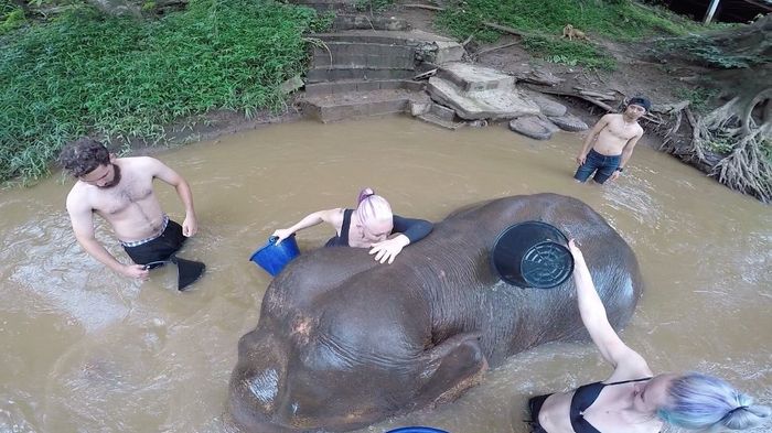 Hugging elephants!!!