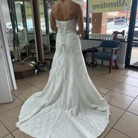 To Bustle or not to Bustle? - 1